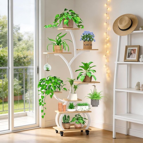 Plant stand indoor with - with, grow