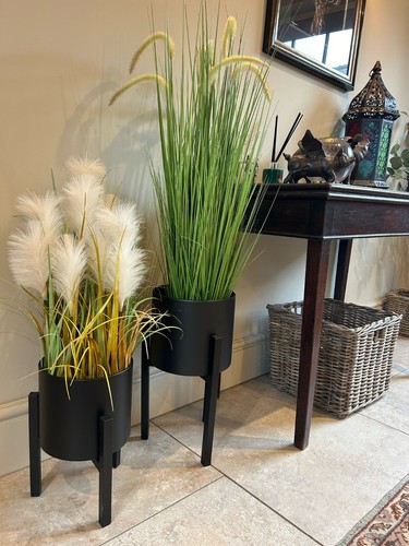 Black short plant - black,