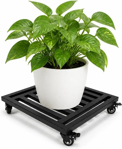 Pack plant caddy square - pack,