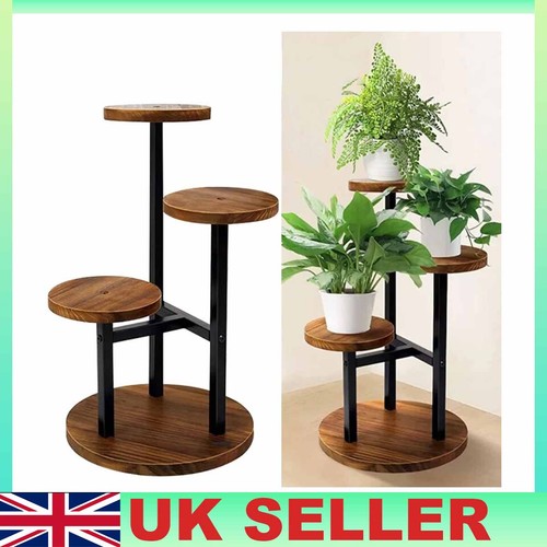 Indoor floor plant - floor, stand