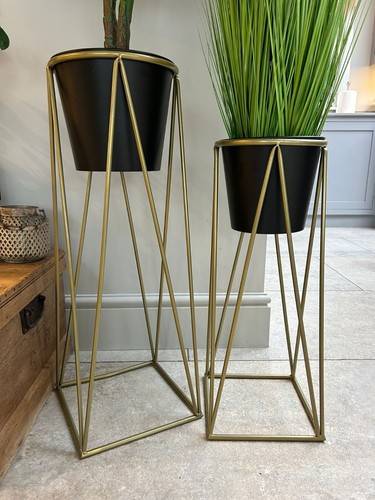 Black plant pot - plant,