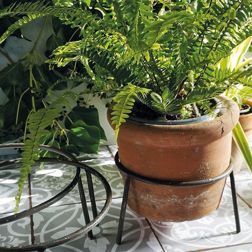 Plant pot stands simple - pot,